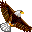 Bald Eagle icon